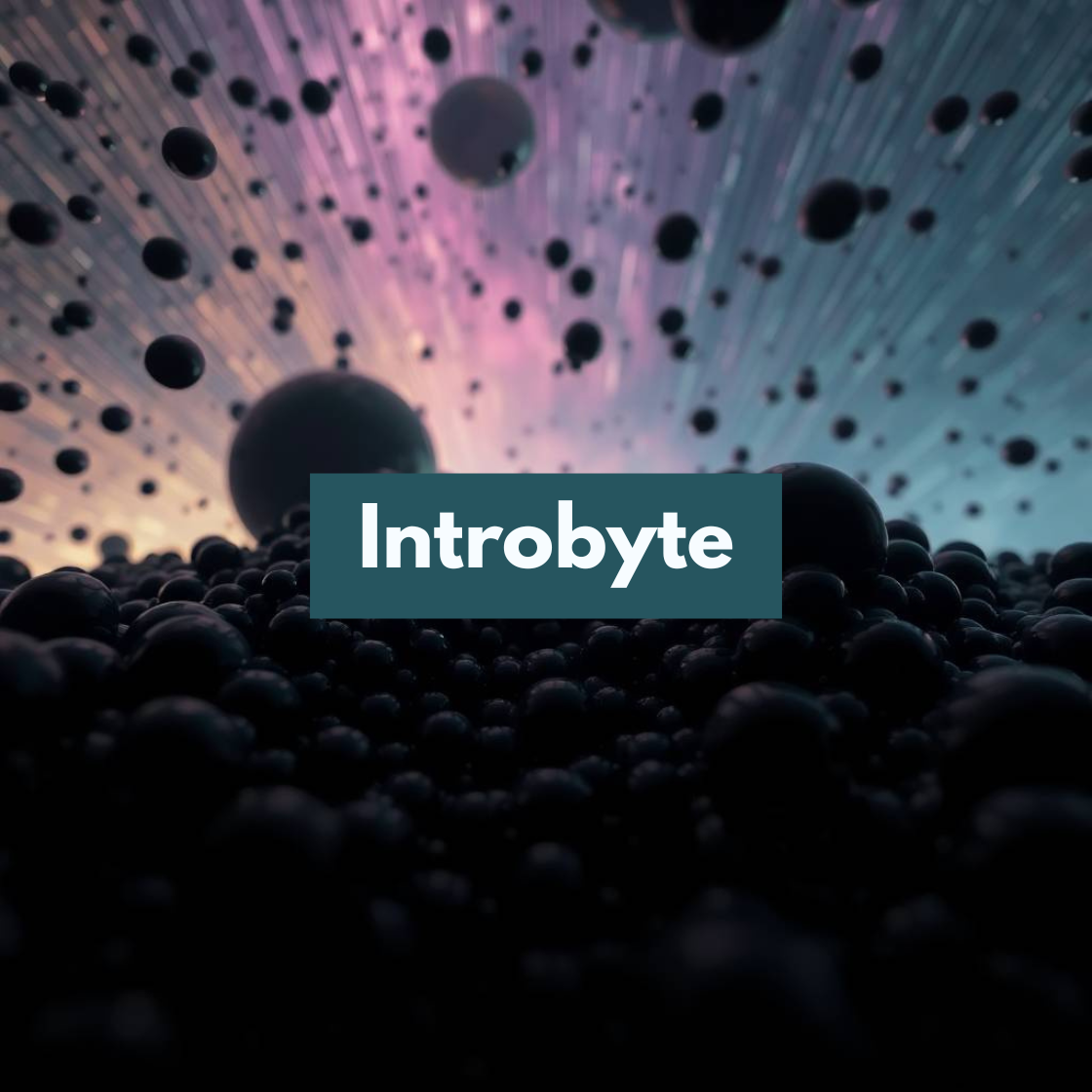 Introbyte